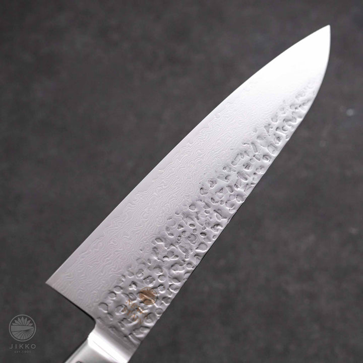 NEVER STAIN2 Gyuto (Chef Knife) SG2 Starinless steel